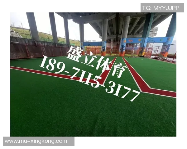 天然草皮足球场的造价分析与影响因素探讨